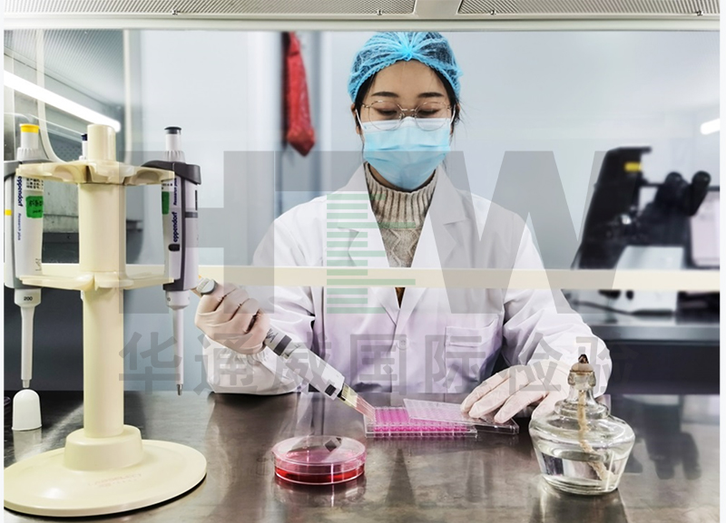产品初始菌检验步骤|初始传染菌的检验步骤验证汇报